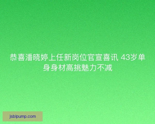 恭喜潘晓婷上任新岗位官宣喜讯 43岁单身身材高挑魅力不减