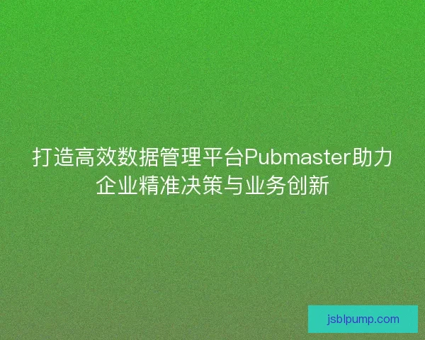 打造高效数据管理平台Pubmaster助力企业精准决策与业务创新