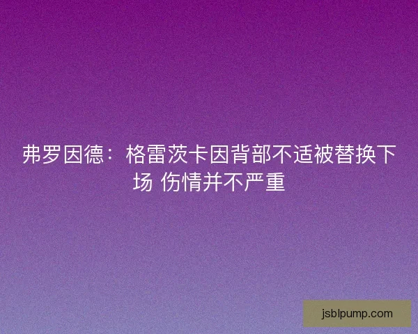 弗罗因德：格雷茨卡因背部不适被替换下场 伤情并不严重