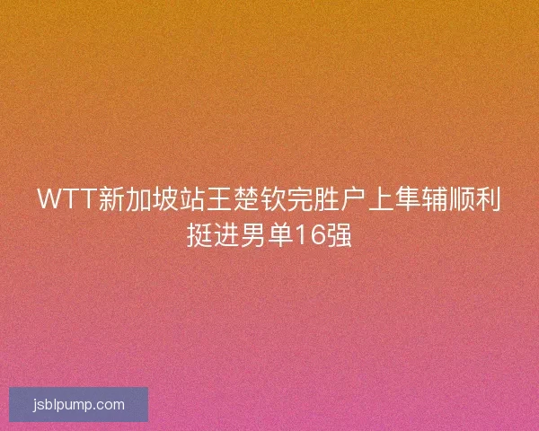 WTT新加坡站王楚钦完胜户上隼辅顺利挺进男单16强