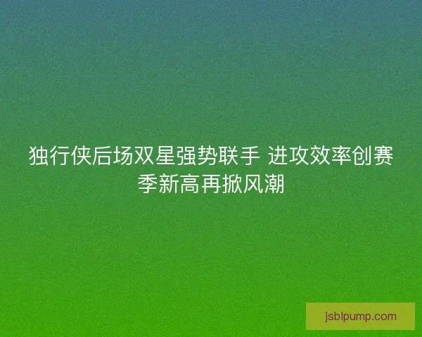 独行侠后场双星强势联手 进攻效率创赛季新高再掀风潮